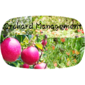 Orchard Management