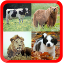 Learn Animals for Kids Free