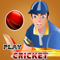 Play Cricket
