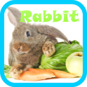Rabbit Live wallpaper