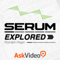 Serum Explored