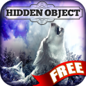 Hidden Object