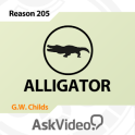 Alligator Course For Reason