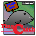 Tiny Catch