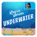 Underwater Sea Life for Kids