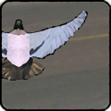 Атака голубя - птичьи бомбы
