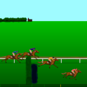 Steeplechase Horse Racing