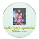 Nadi Astrologer