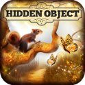 Hidden Object