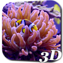 Aquarium Video Live Wallpaper