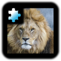 ジグソーパズル：ライオン