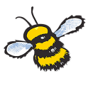 Haskins Buzzy Bee