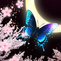Moon*Cherry*Butterfly LWP