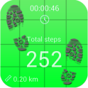 Pedometer and step counter