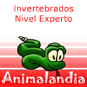 Animalandia Invertebrados Exp