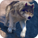 Online Wolf Games For Free