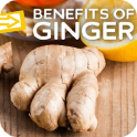 Uses & Benefits of Ginger Root