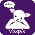 Voxpix
