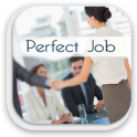 How To Get The Perfect Job