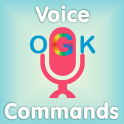 Voice Commands Guide