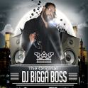 DJ Bigga Boss