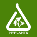 HyPlants Aquarium Plants