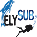 ElySub