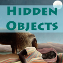 Henri's Hidden Objects (Lite)