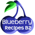 Blueberry Recipes B2