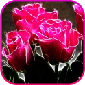 Pink Rose LiveWallpaper