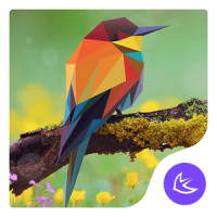 Free Colorful Lovely Bird theme for Android