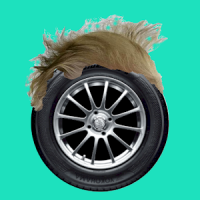 Trump Hair Racing