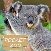Pocket Zoo Full (Family)