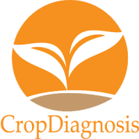 CropDiagnosis