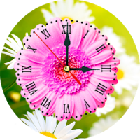 Daisy Clock Live Wallpaper