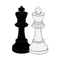 Beginners Chess