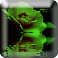 Reflecting Roses 3D LiveWP