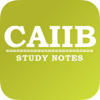 CAIIB Study Notes Lite