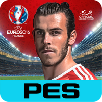 PES COLLECTION