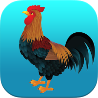 Rooster Sounds Ringtones ♪