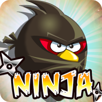 Angry Ninja 2017