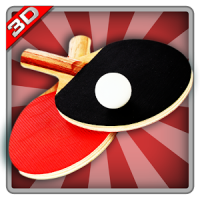 Echt Ping Pong 3D