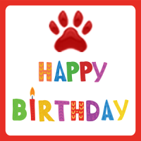 Birthday cat video/card/voice