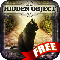 Hidden Object