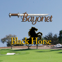 Bayonet and Black Horse