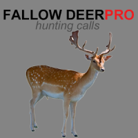 Fallow Deer Calls UK