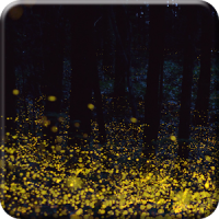 숲 반딧불 라이브 배경 화면