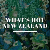 Whats Hot New Zealand