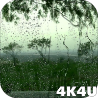 4K Rain Drops on Window Live Wallpaper