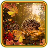 Autumn Hedgehogs live wallpaper